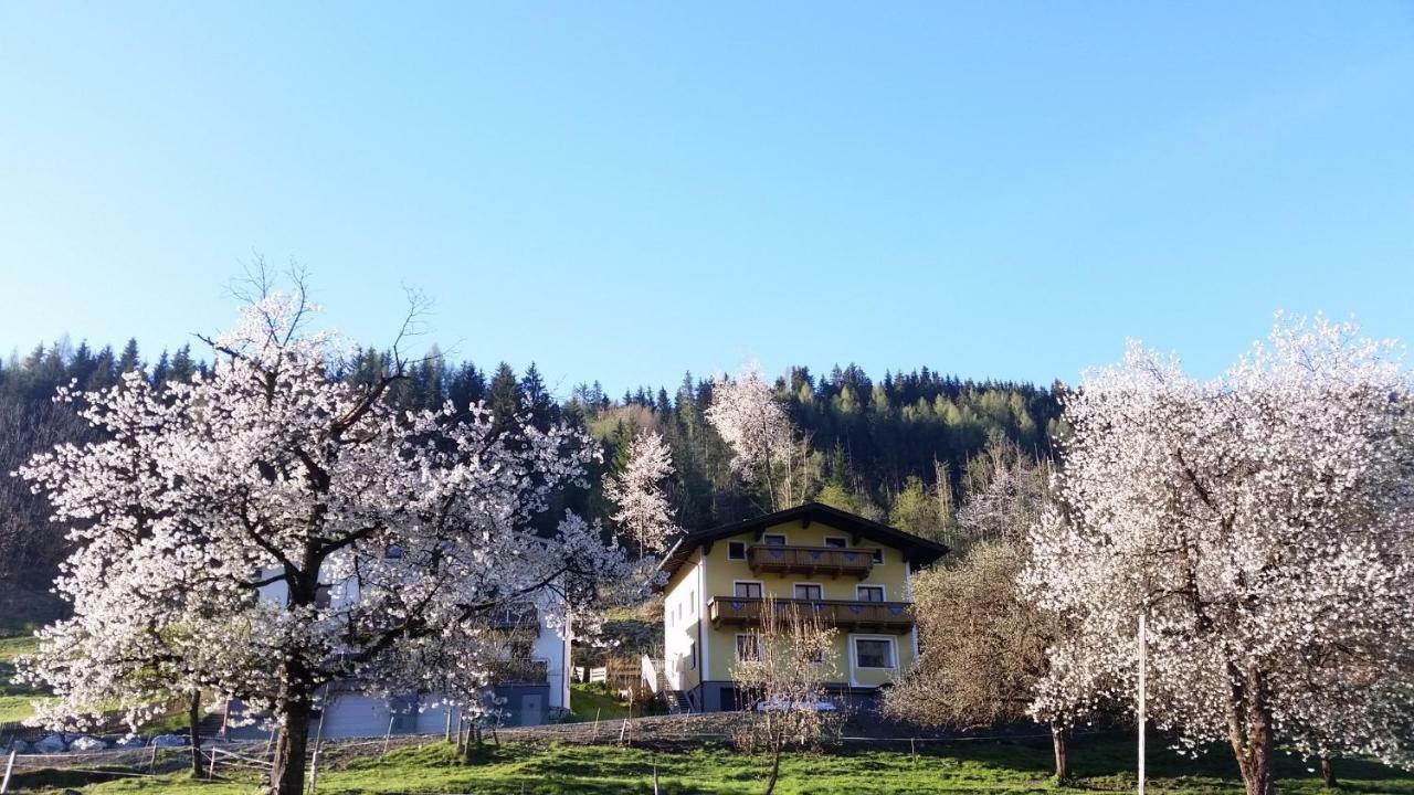 Ferienhaus Karin 弗希安德格洛可尼 外观 照片
