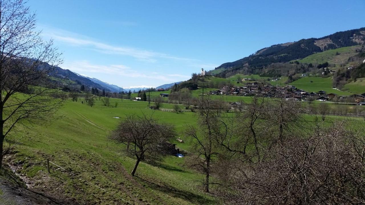 Ferienhaus Karin 弗希安德格洛可尼 外观 照片