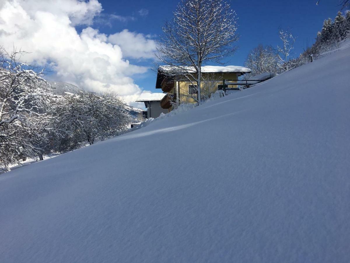 Ferienhaus Karin 弗希安德格洛可尼 外观 照片